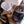 Load image into Gallery viewer, Baratza Encore Grinder | Press Coffee Roasters
