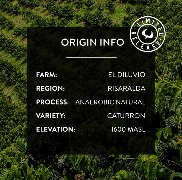 Colombia El Diluvio Spiced Caturron | Press Coffee Roasters